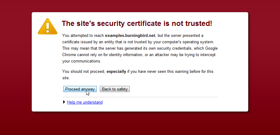 What happens when you use Chrome to access a website using HTTPS with a self-signed certificate