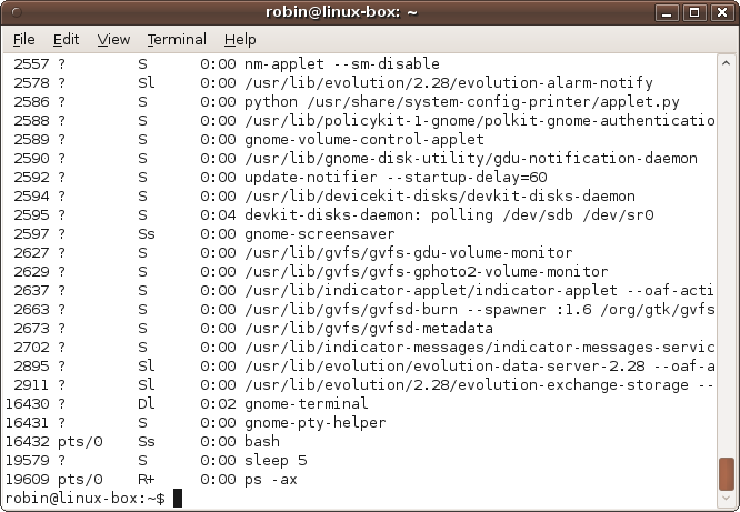 The result of issuing the command ps -ax