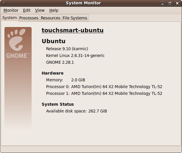 The System Monitor System tab