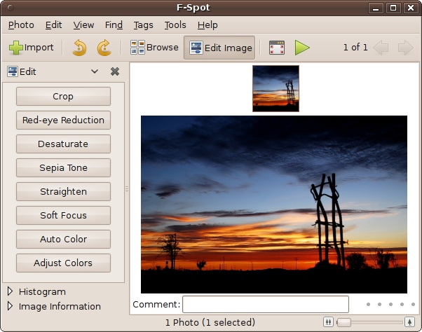 The F-Spot photo manager