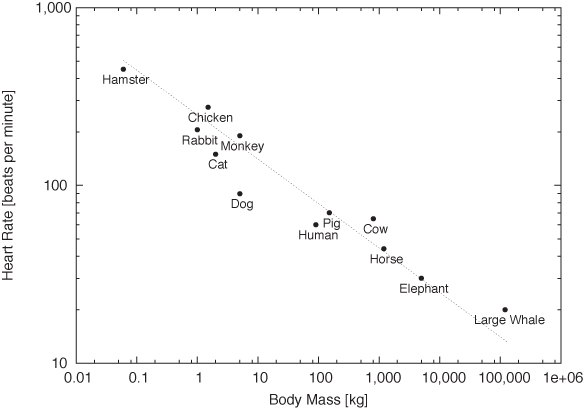 The same data as in but now plotted on a double logarithmic plot. The data points seem to fall on a straight line, which indicates a power-law relationship between resting heart rate and body mass.