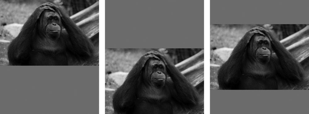 Different values for the object-position property