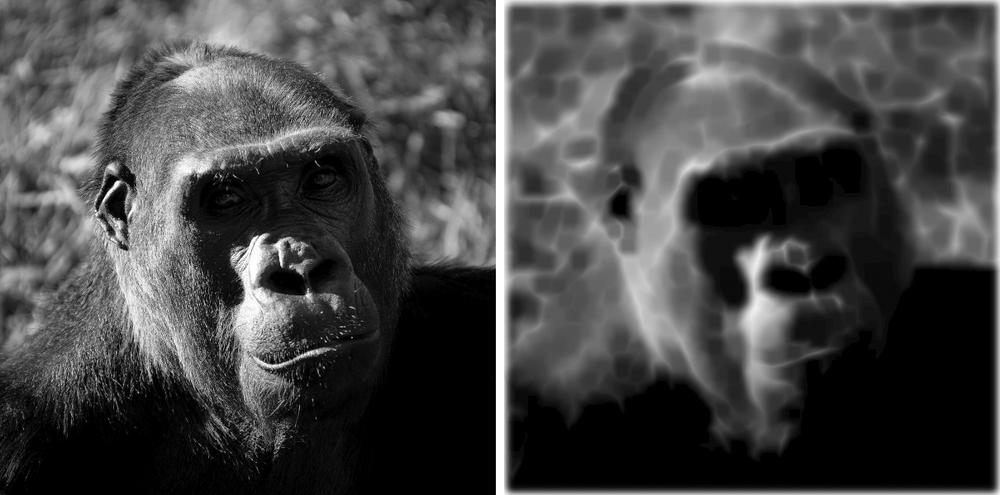 The original image file (left) and after a two-stage SVG filter is applied (right)