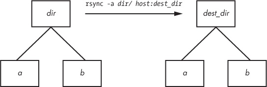 Effect of trailing slash in rsync