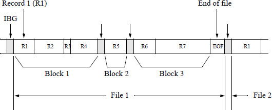 Figure showing typical block and file format for a tape drive.