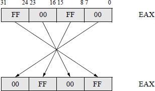 Diagram showing to illustrate the byte swap instruction.