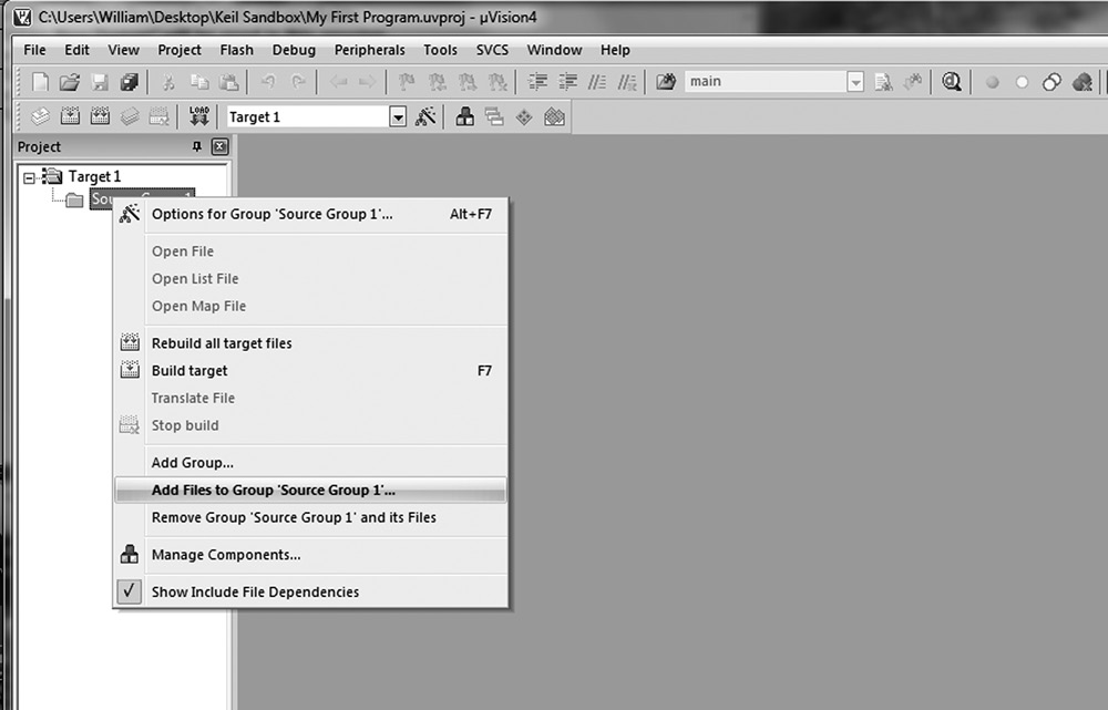 Image of Adding a source file to the project.