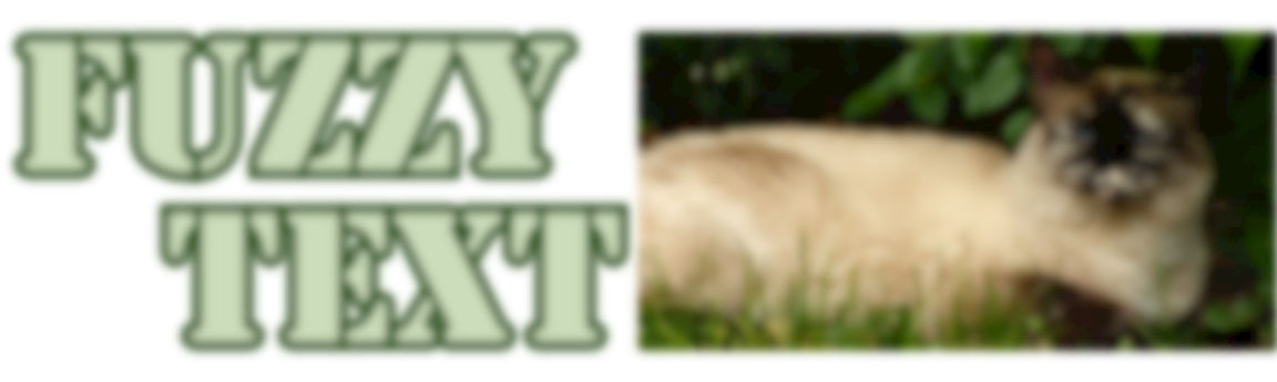 The fuzzy text (with the words Fuzzy Text) and out-of-focus siamese cat from the first figure in the chapter.