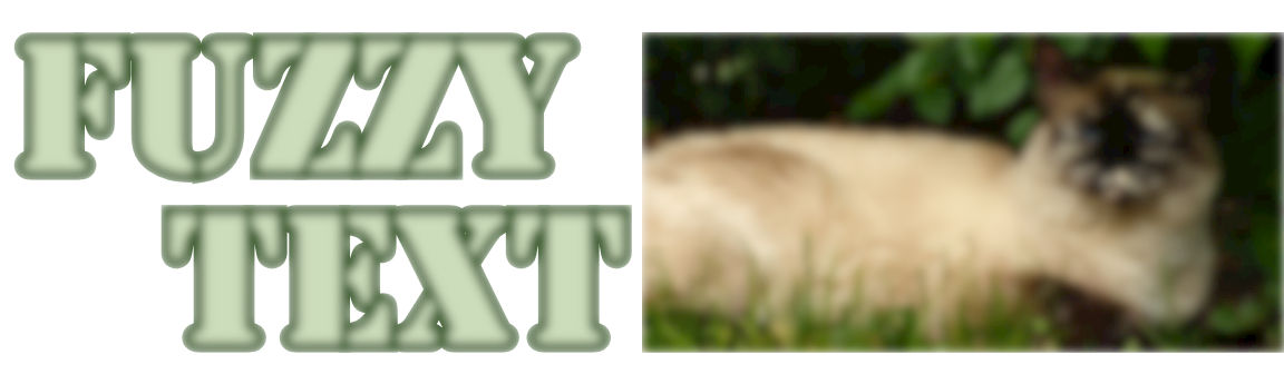 Slightly-less fuzzy text and out-of-focus siamese cat that is now within a more smoothly-edged rectangle.