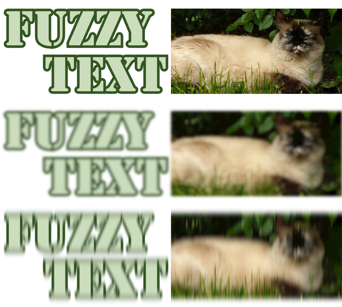 The SVG text is the words Fuzzy Text in a thick all-caps stencil font with a dark stroke surrounding the letters and filling in the spaces where the stencil-shapes are disconnected.  The photo is a Siamese cat sitting in grass in front of a dark bush.  Both are repeated three times, top to bottom. The second copy has a soft blur, so the text is evenly smudged in all directions and the photo looks out of focus.  The bottom copy looks like it is being shaken vigorously up and down: the top and bottom edges of everything are blurred, but the sides aren't. Vertical lines in text and the grass in the photo remain mostly clear even while other features are smudged.