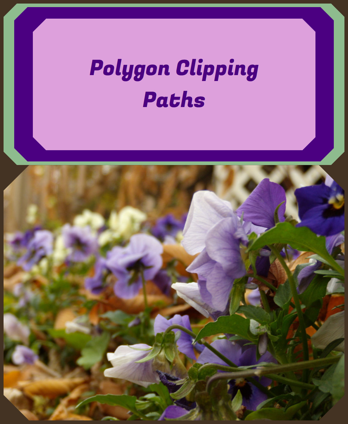 A website layout similar to the Curvy Clipping Paths figure, except now the heading is Polygon Clipping Paths and the curves have been removed, replaced by small triangle clips on the corners of large rectangles.  The clipped triangles on the HTML heading layers are all the same size, but the corners on the photograph are much larger.