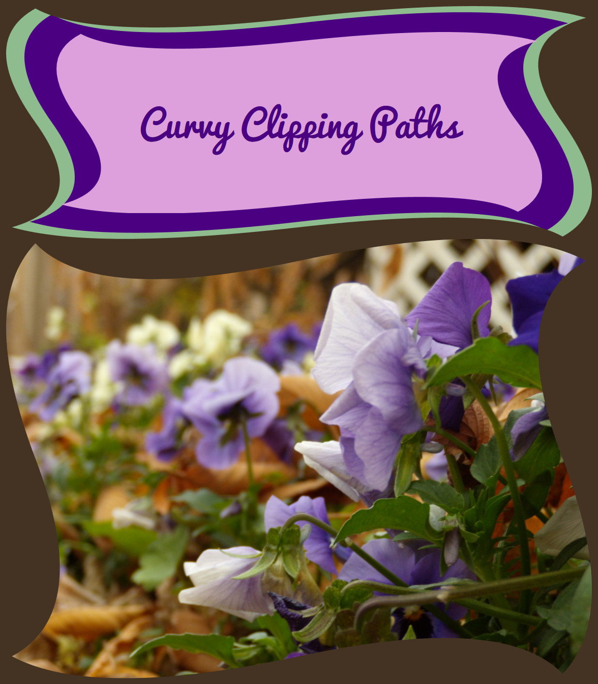 The heading Curvy Clipping Paths in a shape that is like a rectangle with each side turned into an S-curve. The shape is stacked atop two others in contrasting colors, each slightly larger but with matching S-curve sides.  Below, a picture of blue and white violets, cropped to similar S-curve shapes.