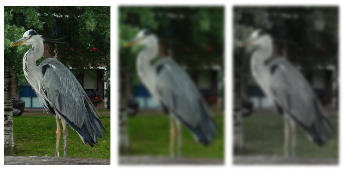 A photograph of a large gray heron standing in an urban residential yard.  Then the same photo, blurred, and finally the blurred photo, almost in grayscale but with gentle hints of color.