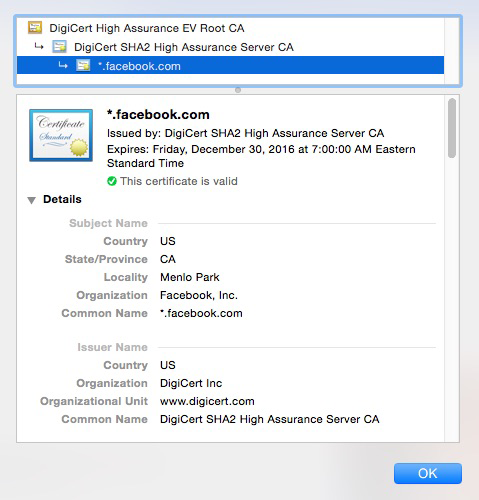 Organization Validation Certificate Example