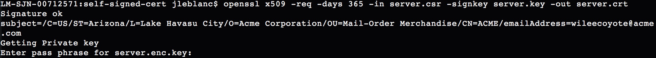 Creating the Self-Signed Certificate