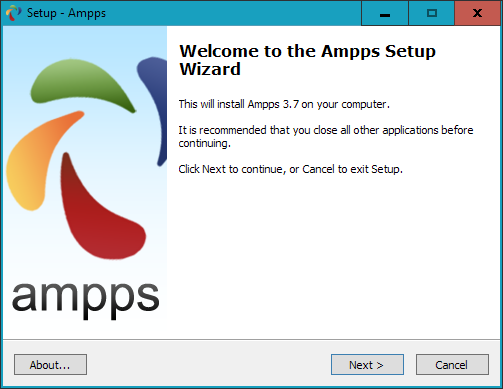 The opening window of the installer