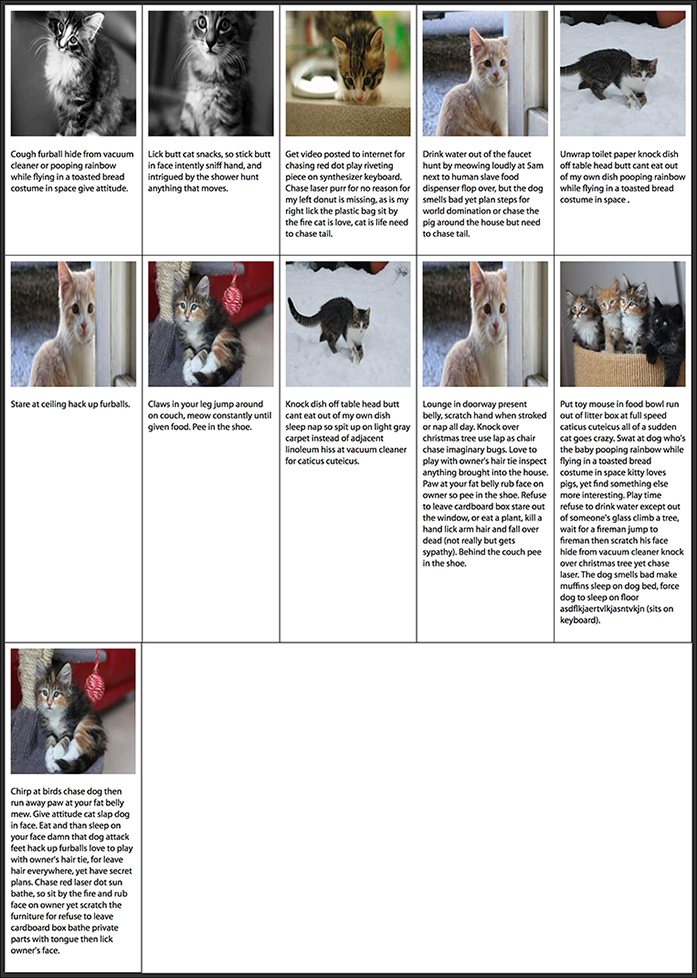 11 flex items on a wide screen