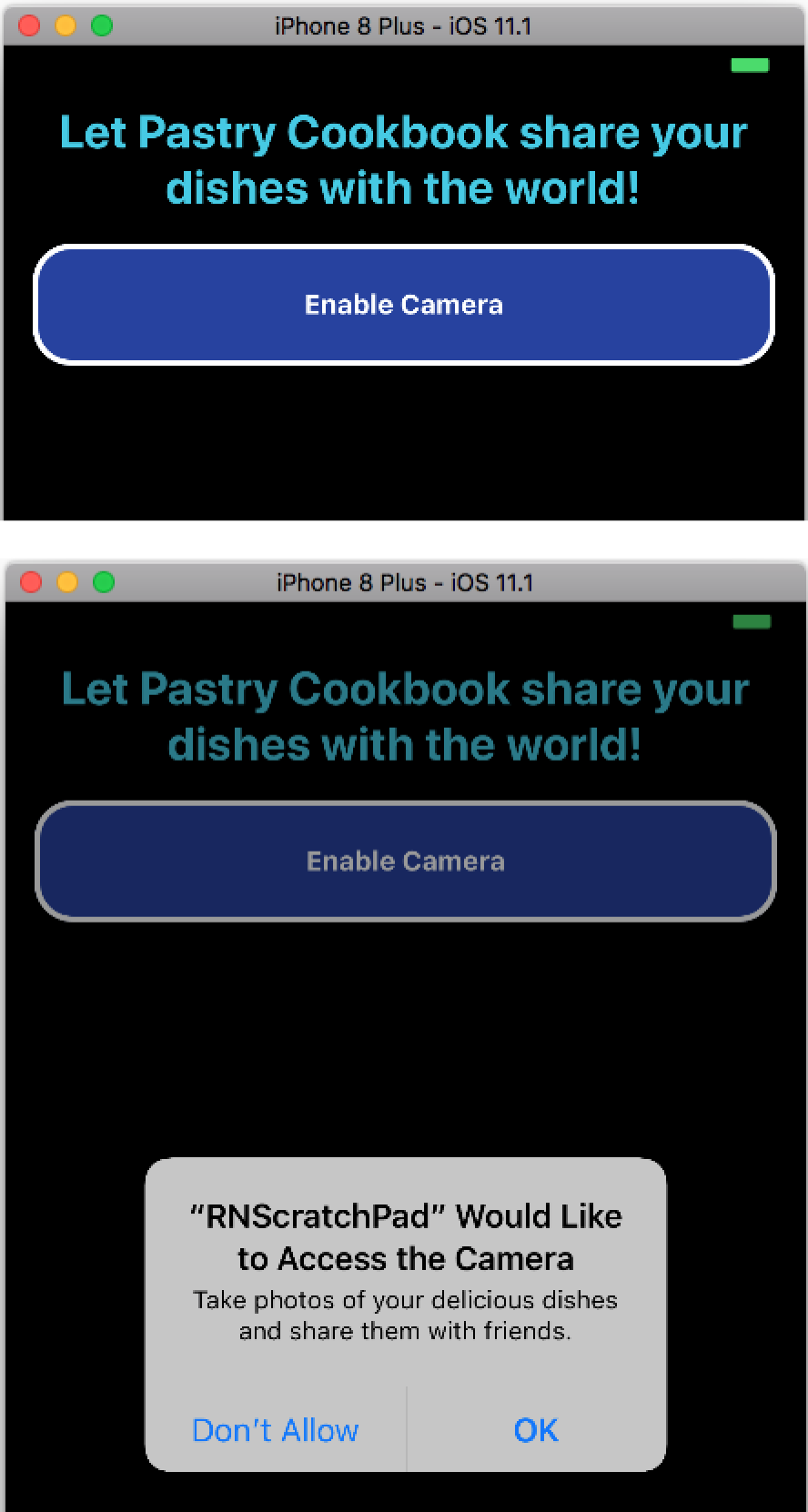 The user enables camera permissions