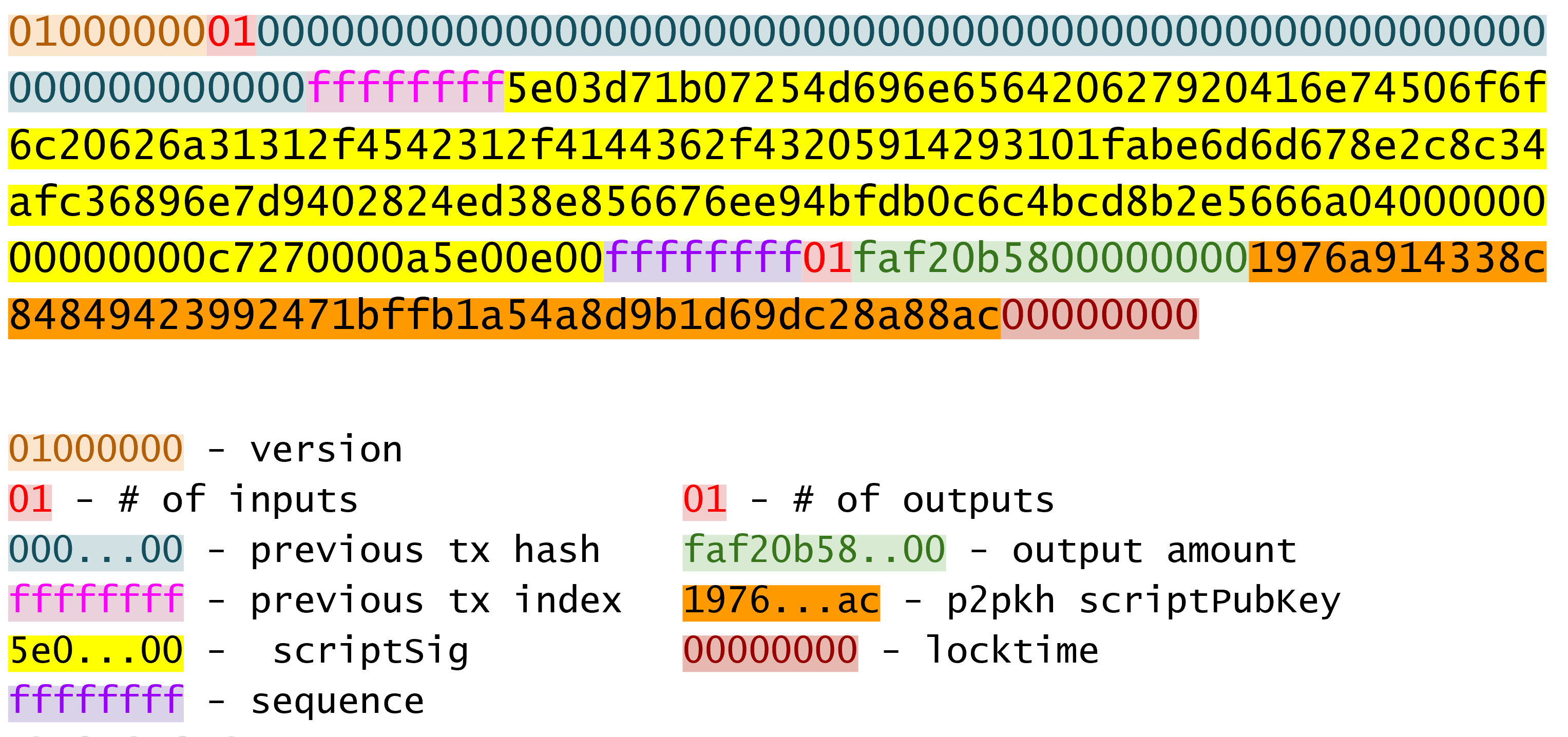 Coinbase Transaction