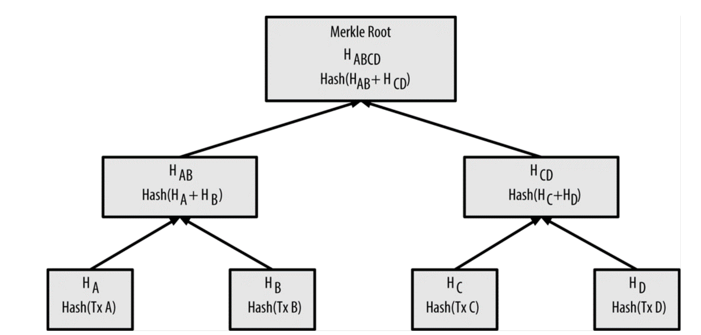 Merkle Tree
