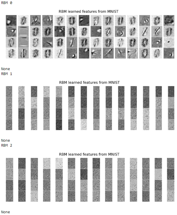 Learned Features of the RBMs