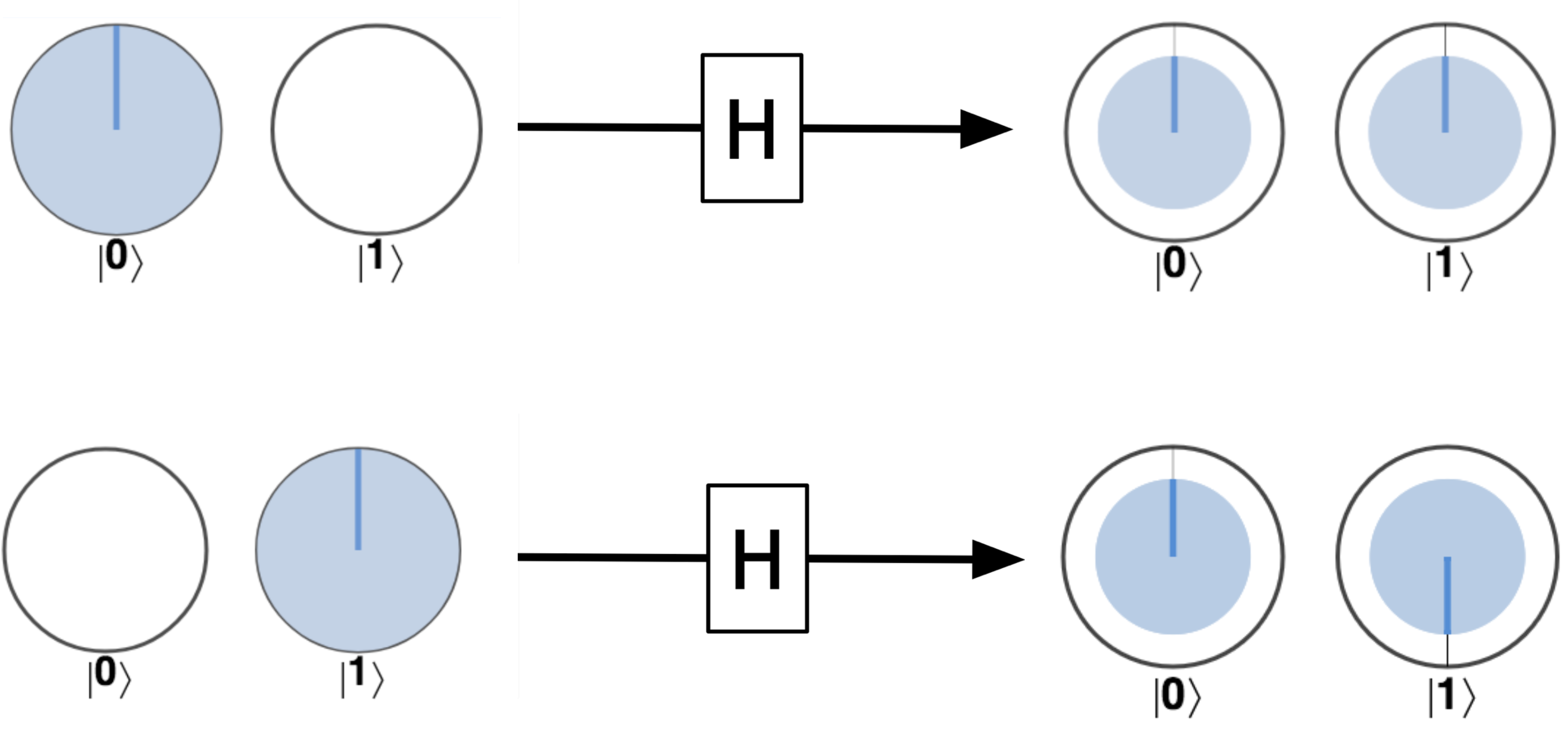 Hadamard applied to some basic states