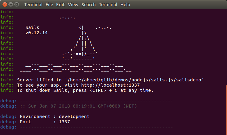 Launching the dev server