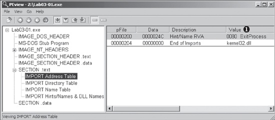 PEview of Lab03-01.exe showing only one import