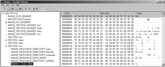Lab11-01.exe in PEview showing the TGAD resource section
