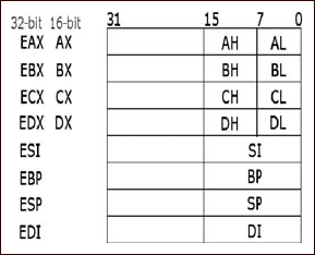 General Purpose Registers