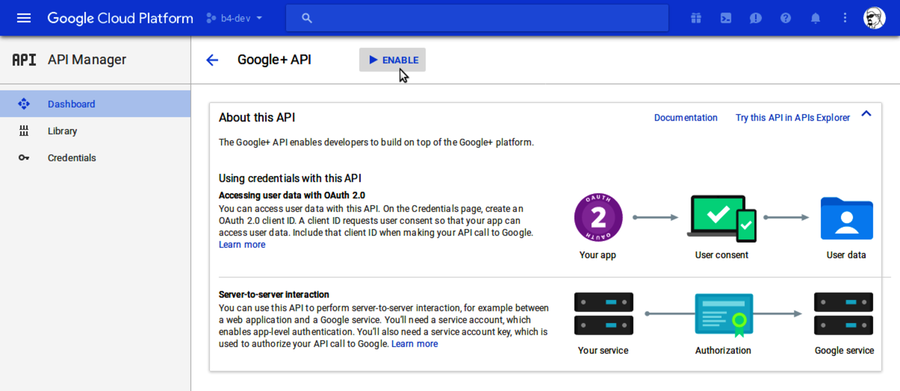 images/fortify-google-enable-google-plus-api.png