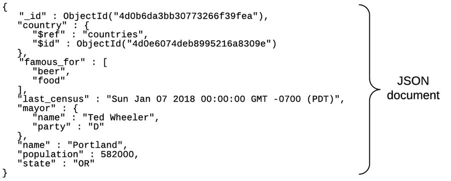 images/mongo-json-document.png