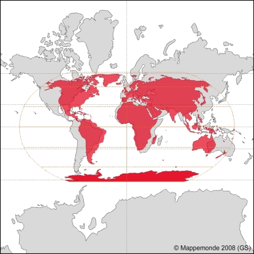 Other characteristics