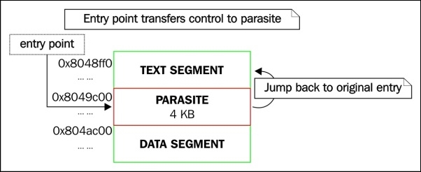 Identifying text segment padding infections