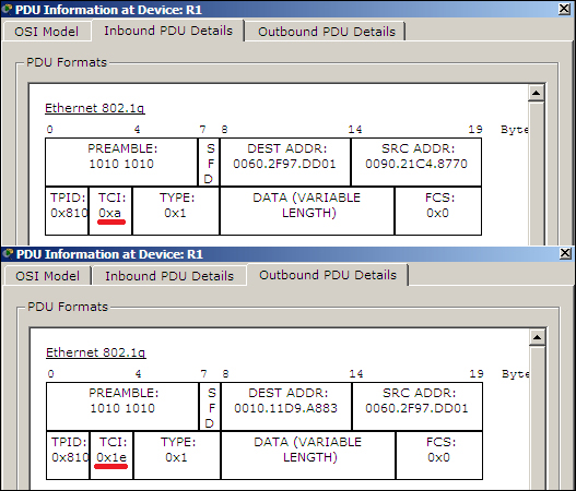 Switch-to-switch trunk links