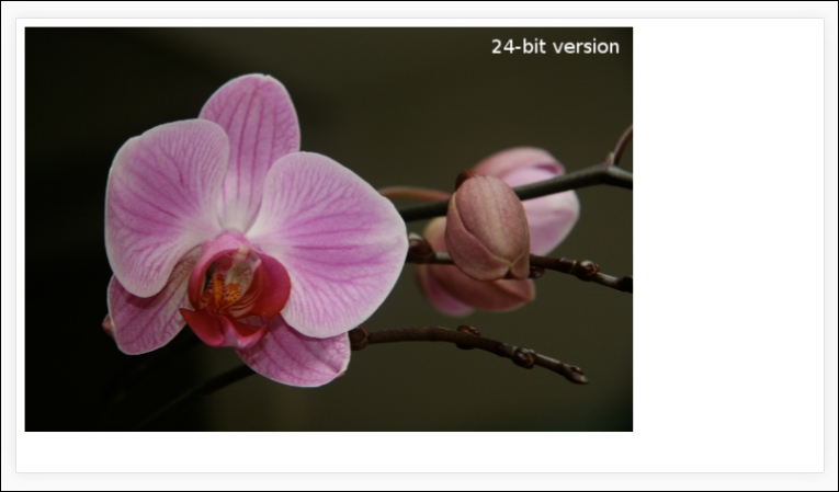 Detecting high-resolution image support