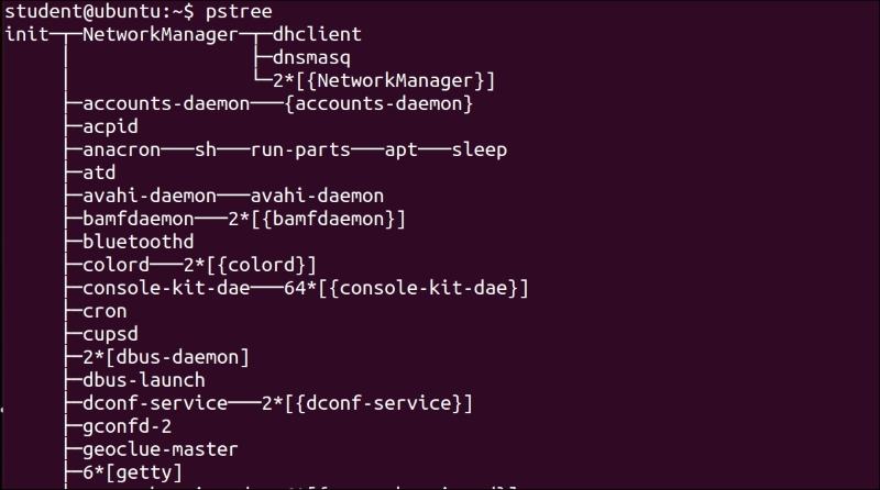 Introducing process basics