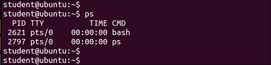 Monitoring processes using ps