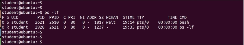 Monitoring processes using ps