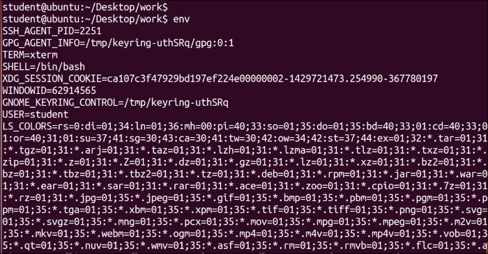 Working with environment variables