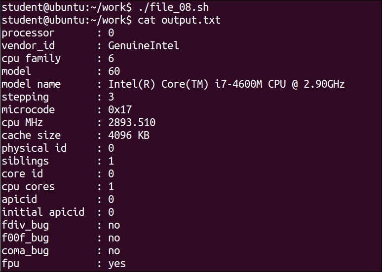Executing the command and storing the results in a file