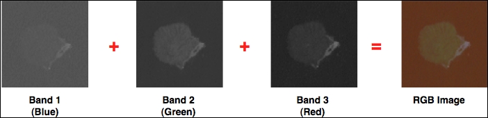 The Landsat data format