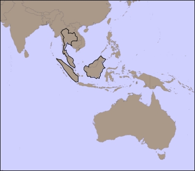 Implementing the Tile Map Server