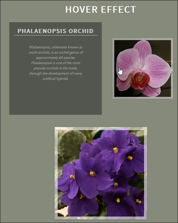 Creating a hover effect example