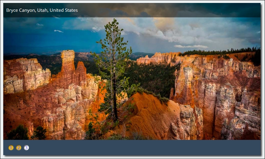 Introducing our demo