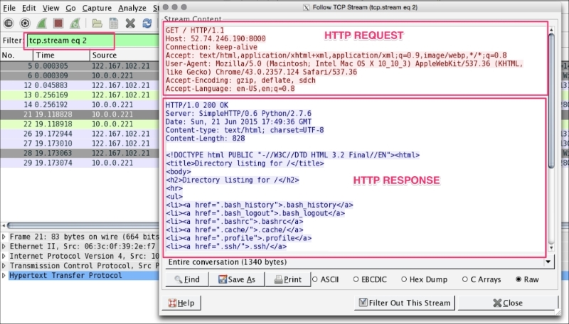 Following the TCP stream