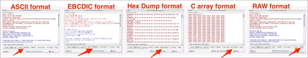 Following the TCP stream