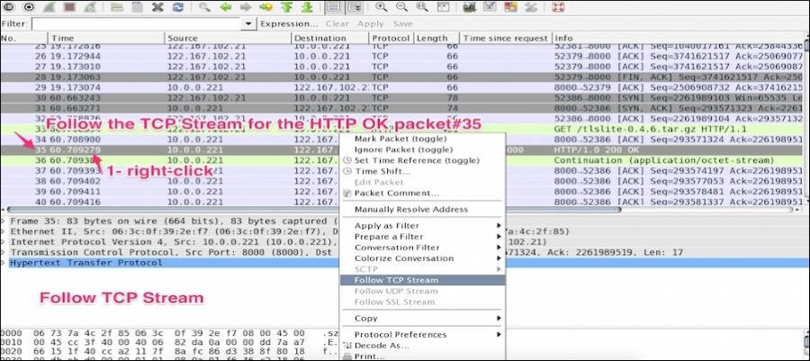 Following the TCP stream
