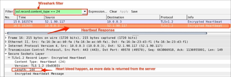 Heartbleed Wireshark analysis