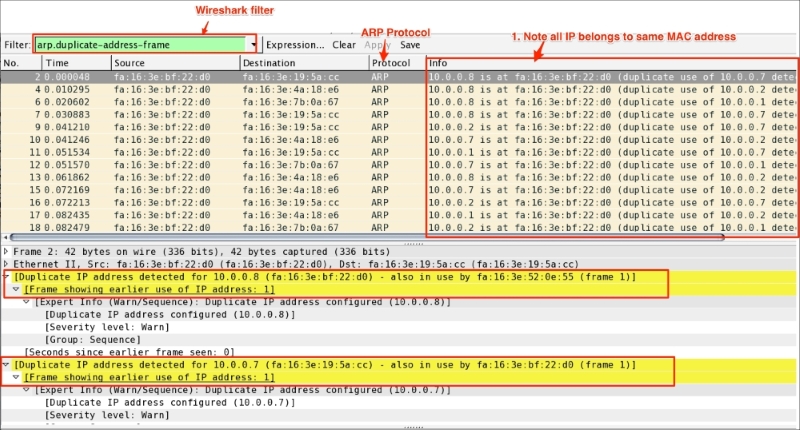 ARP duplicate IP detection